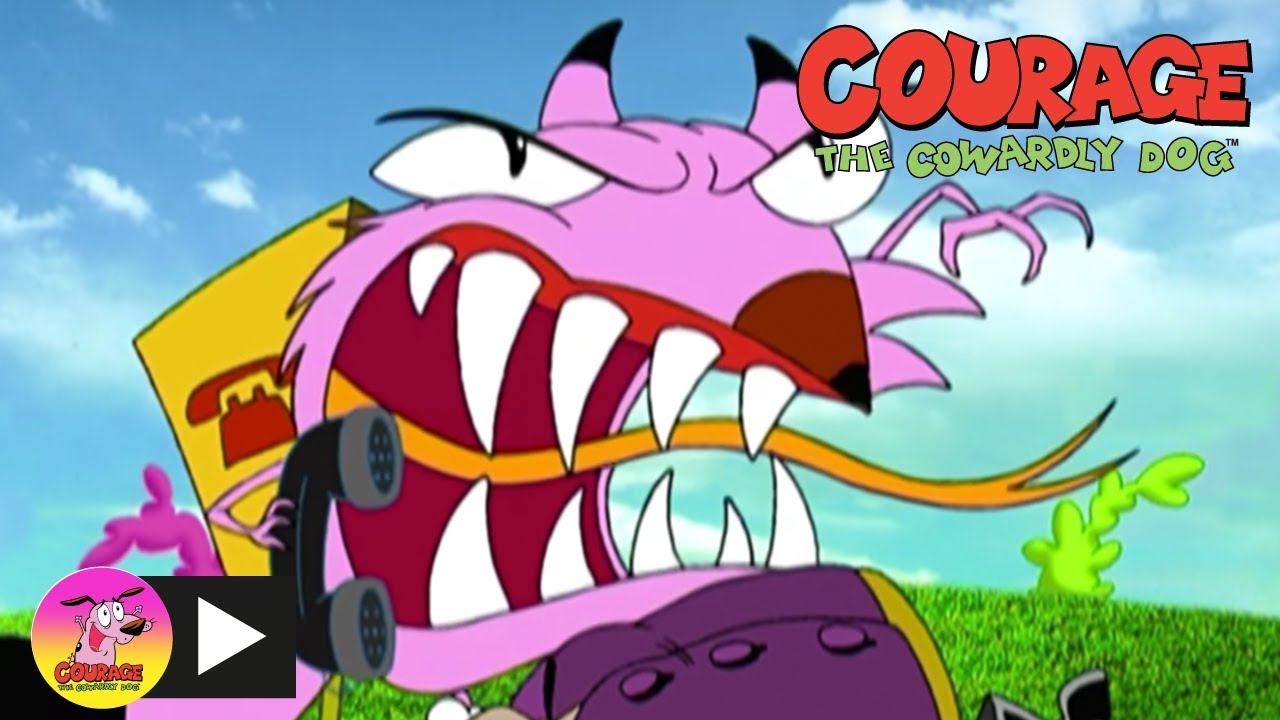 Coragem, O Cão Covarde | Perseguição Da Raposa | Cartoon Network
