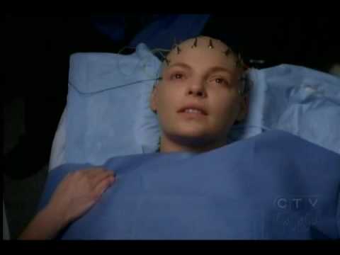 Grey’s Anatomy: Aqui Está Para O Futuro –  Cachorro, Avião, Casa