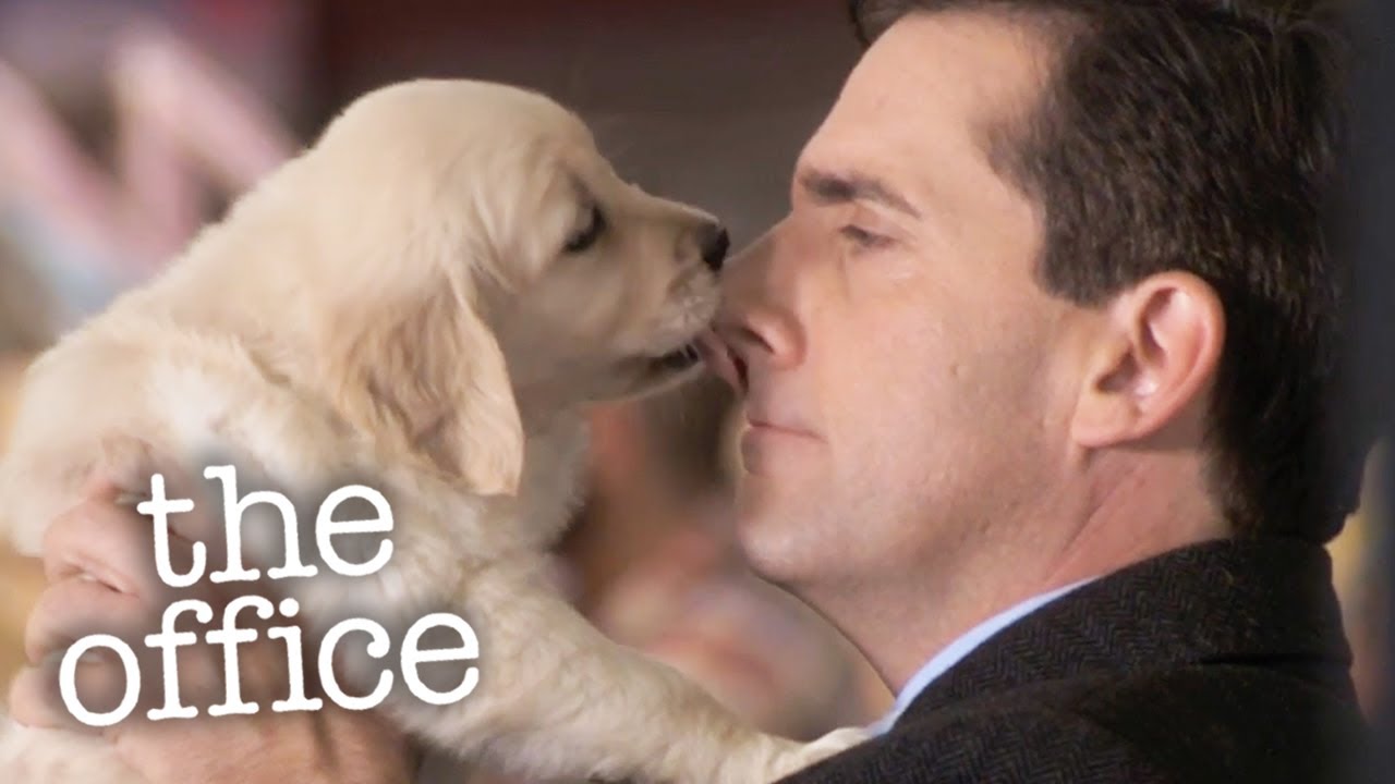 The Office: Michael Desaparece