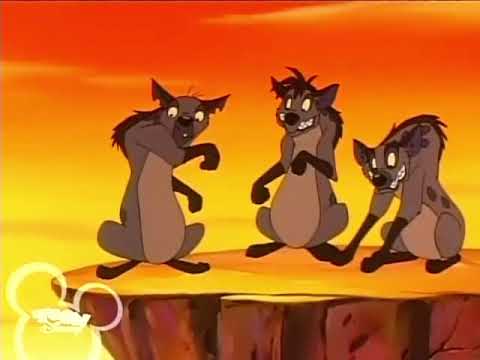 Timão & Pumba: Ovos Mexidos Com Encrenca