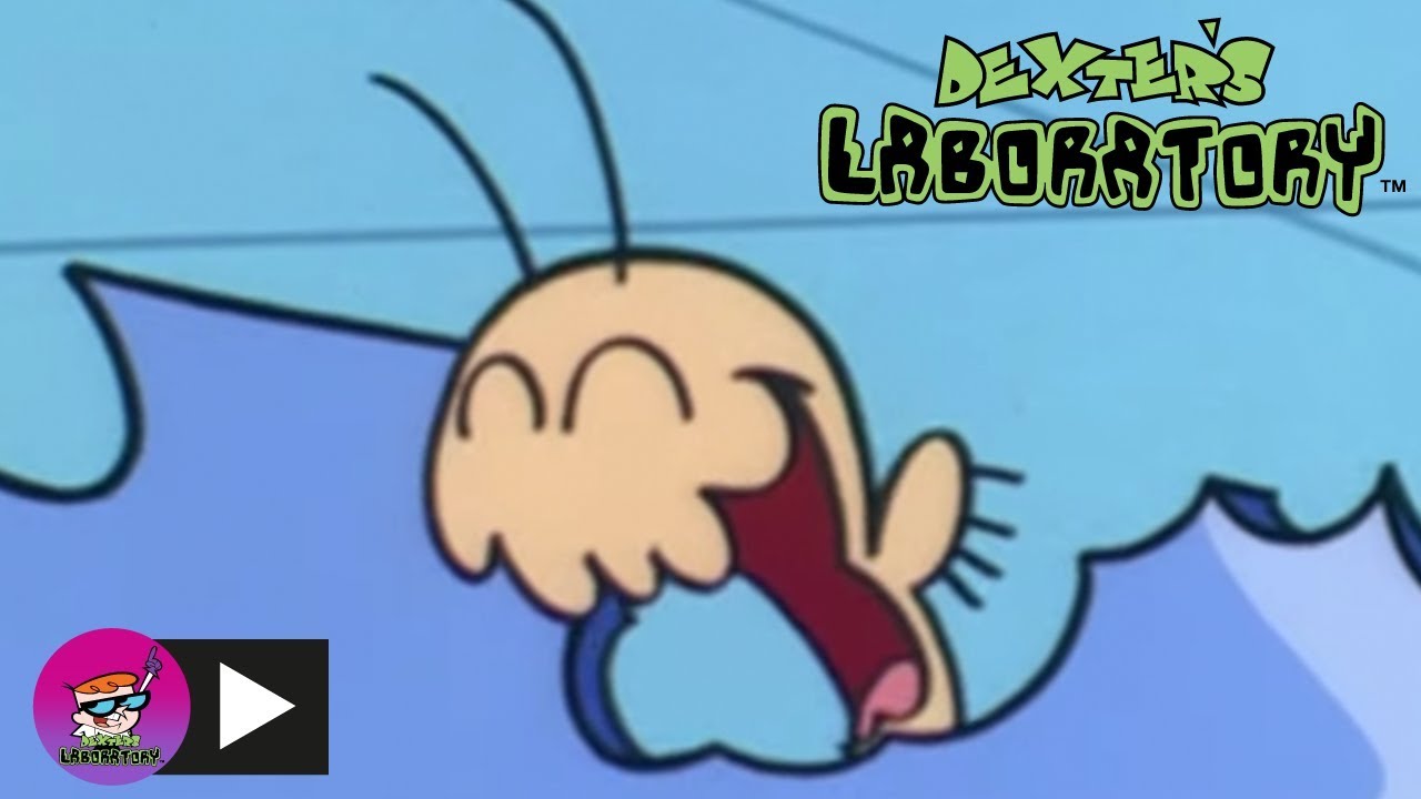 O Laboratório De Dexter: Um Garoto E Seu Inseto