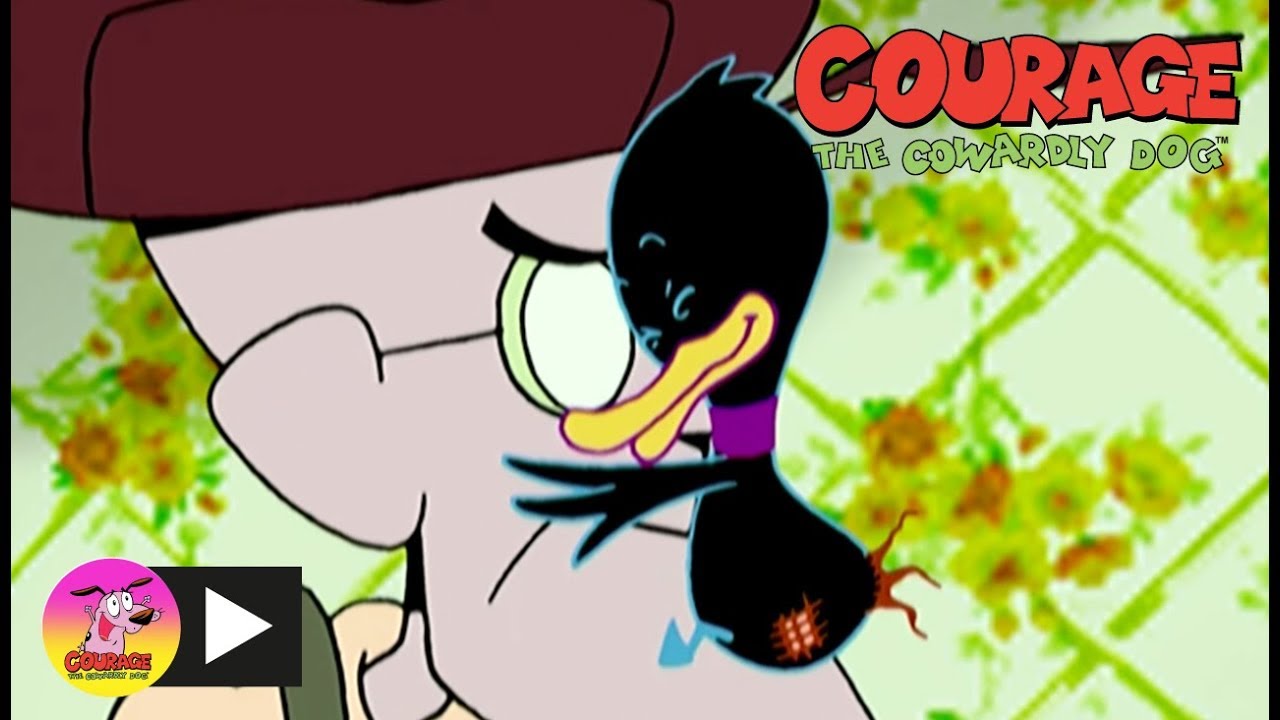 Coragem, O Cão Covarde | O Patinho Assassino | Cartoon Network