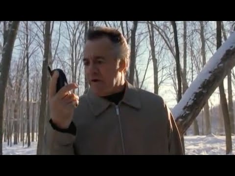 Família Soprano: O Melhor De Christopher E Paulie Perdidos Nos Pinhais