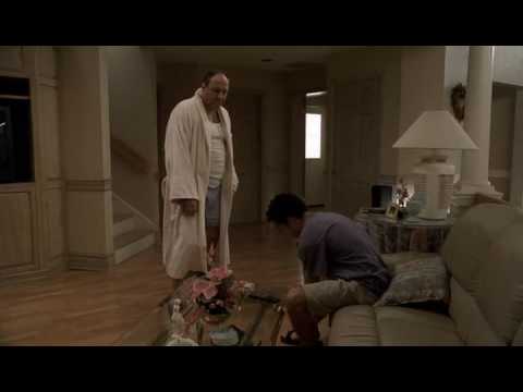 Família Soprano: Tony Soprano E O Namorado Da Meadow