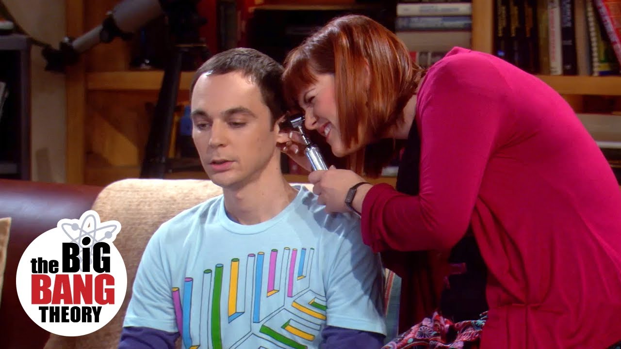 O Acordo De Coabitação | The Big Bang Theory