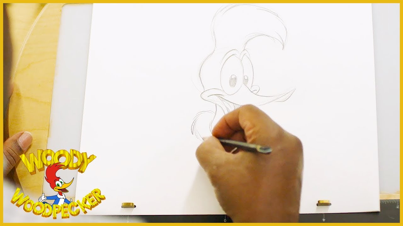 Pica-Pau: Como Animar E Desenhar O Pica-Pau | Recurso Bônus