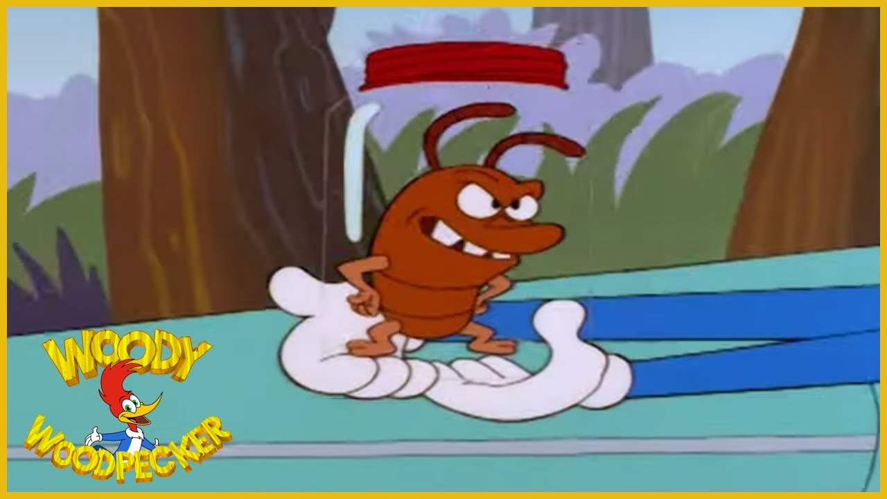 Pica-Pau: Cupins Atacam | Episódio Completo