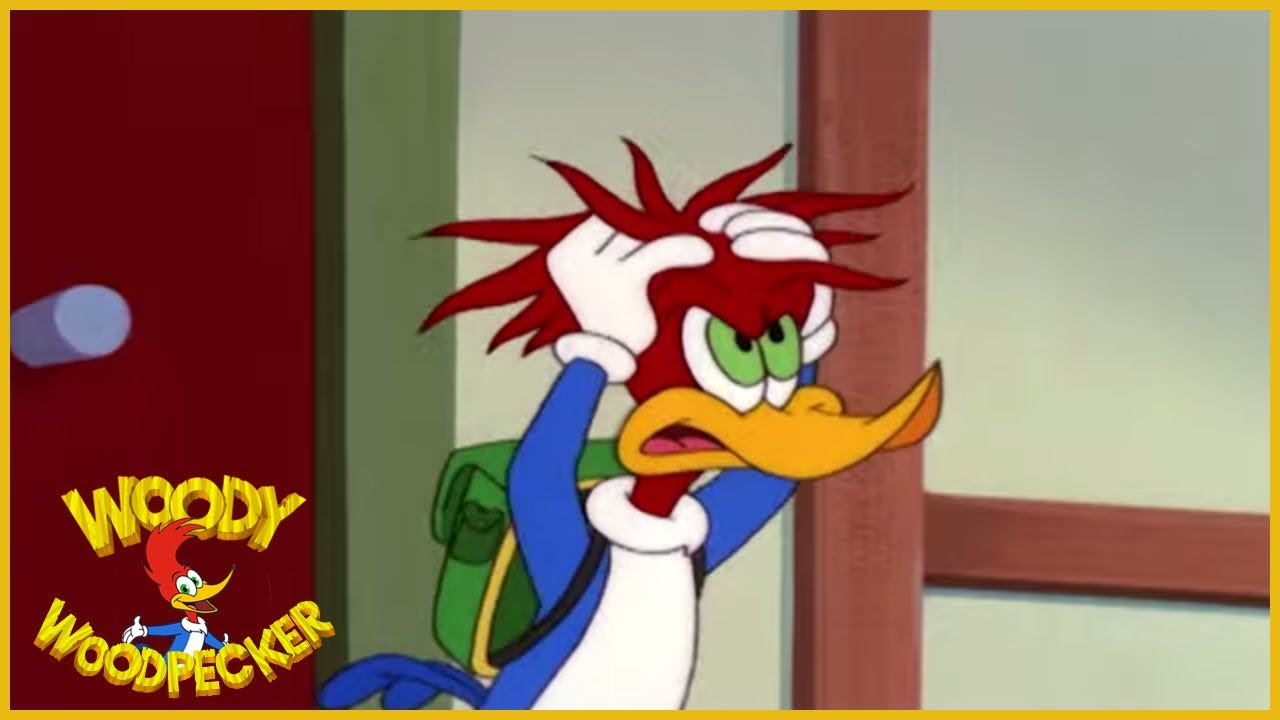 Pica-Pau: Encrenca No Hotel: Episódio Completo