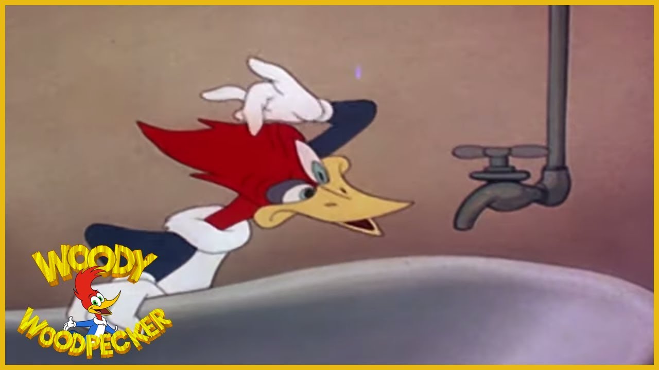 Pica-Pau: Problemas De Encanamento | Episódio Completo