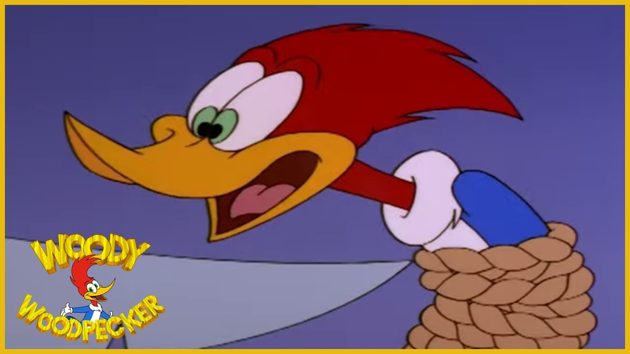 Pica-Pau: Vida De Pirata | Episódio Completo