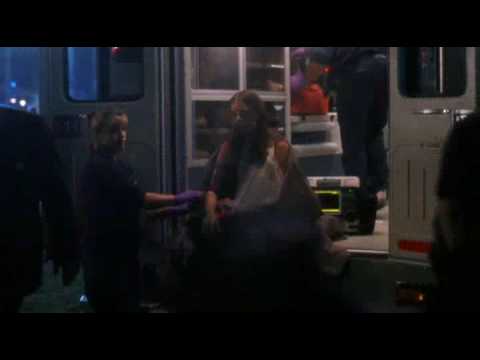 The West Wing: Cães De Guerra