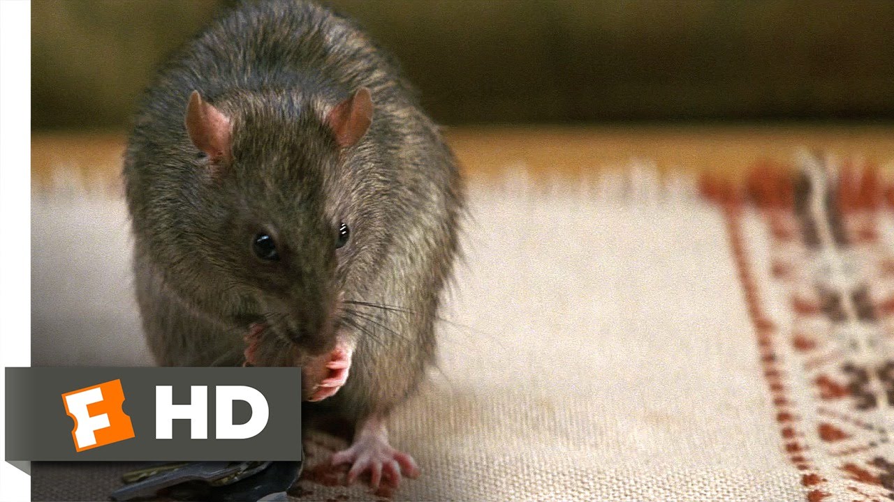 Doze É Demais 2 (1/5) – O Trapaceiro (2005)