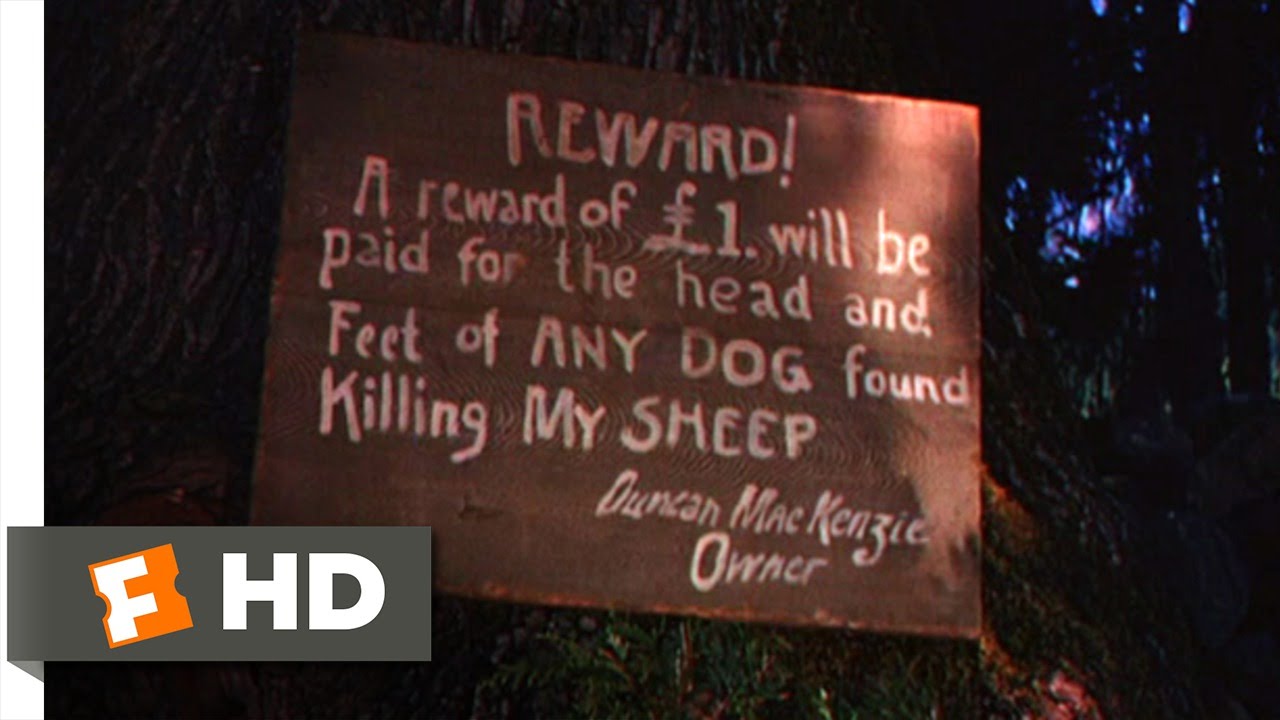 Lassie: A Força Do Coração (5/10) – Briga De Cães (1943)