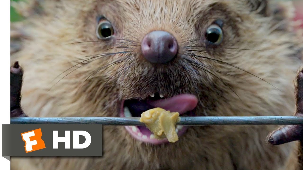 Pedro Coelho (2018) – Cena Da Cerca Elétrica (6/10)