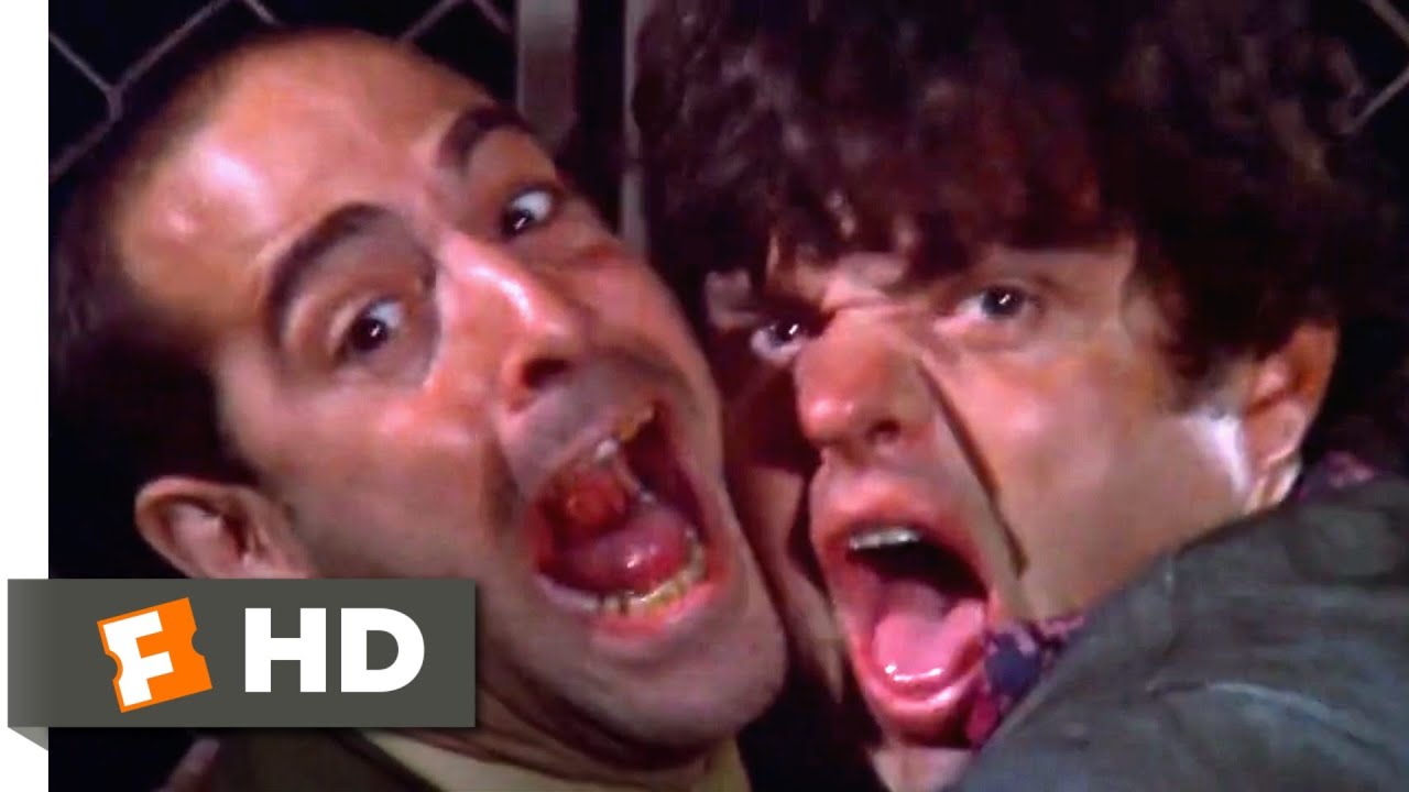 Beethoven: O Magnífico (1992) – Revanche Do Filhote (10/10)