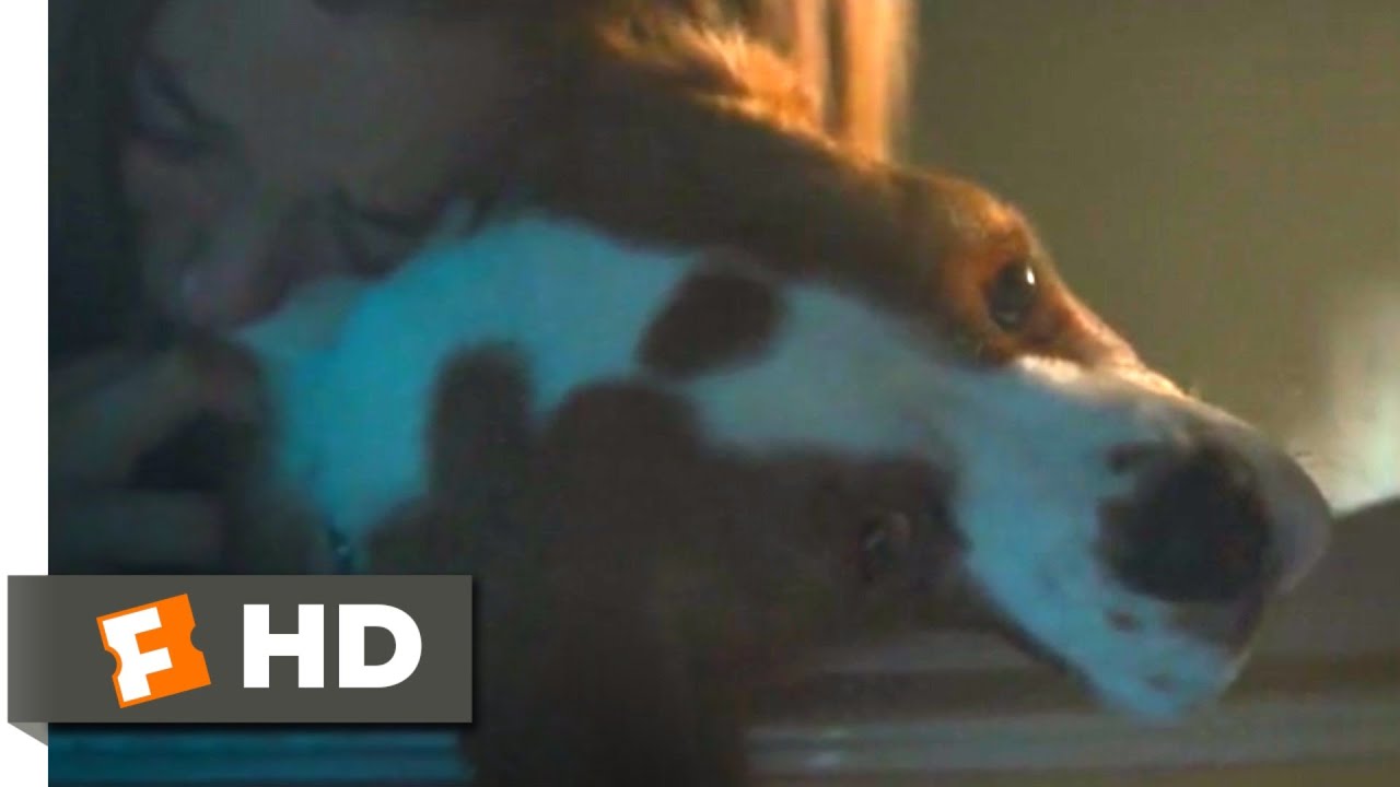 Juntos Para Sempre (2019) – Cena De Fuga Da Estrada (2/10)