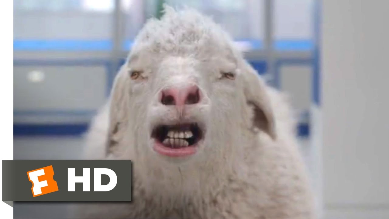 Clifford, O Gigante Cão Vermelho (2021) – Salvando Clifford (8/10)