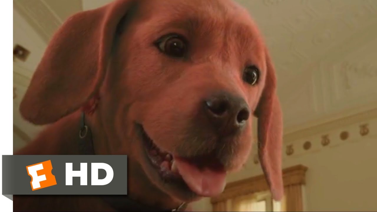 Clifford, O Gigante Cão Vermelho (2021) – Clifford Conhece O Valentão (5/10)
