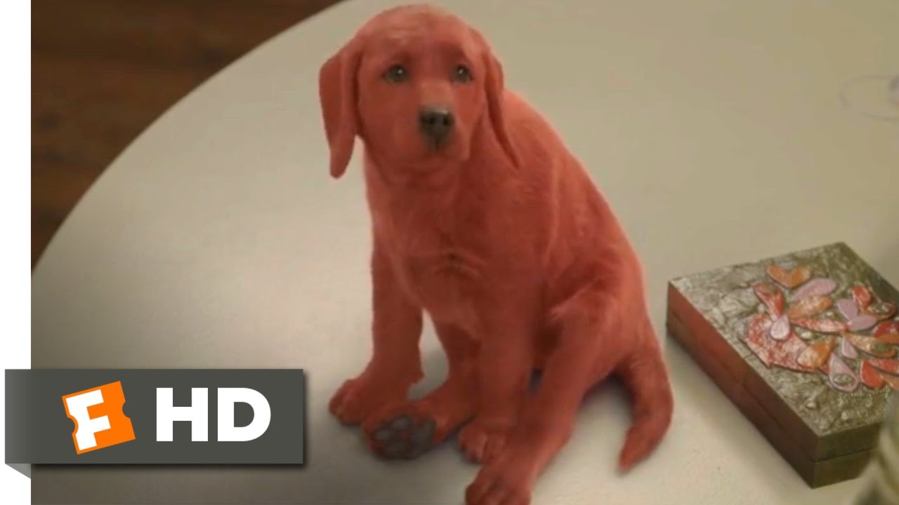 Clifford, O Gigante Cão Vermelho (2021) – Clifford Chega Em Casa (1/10)
