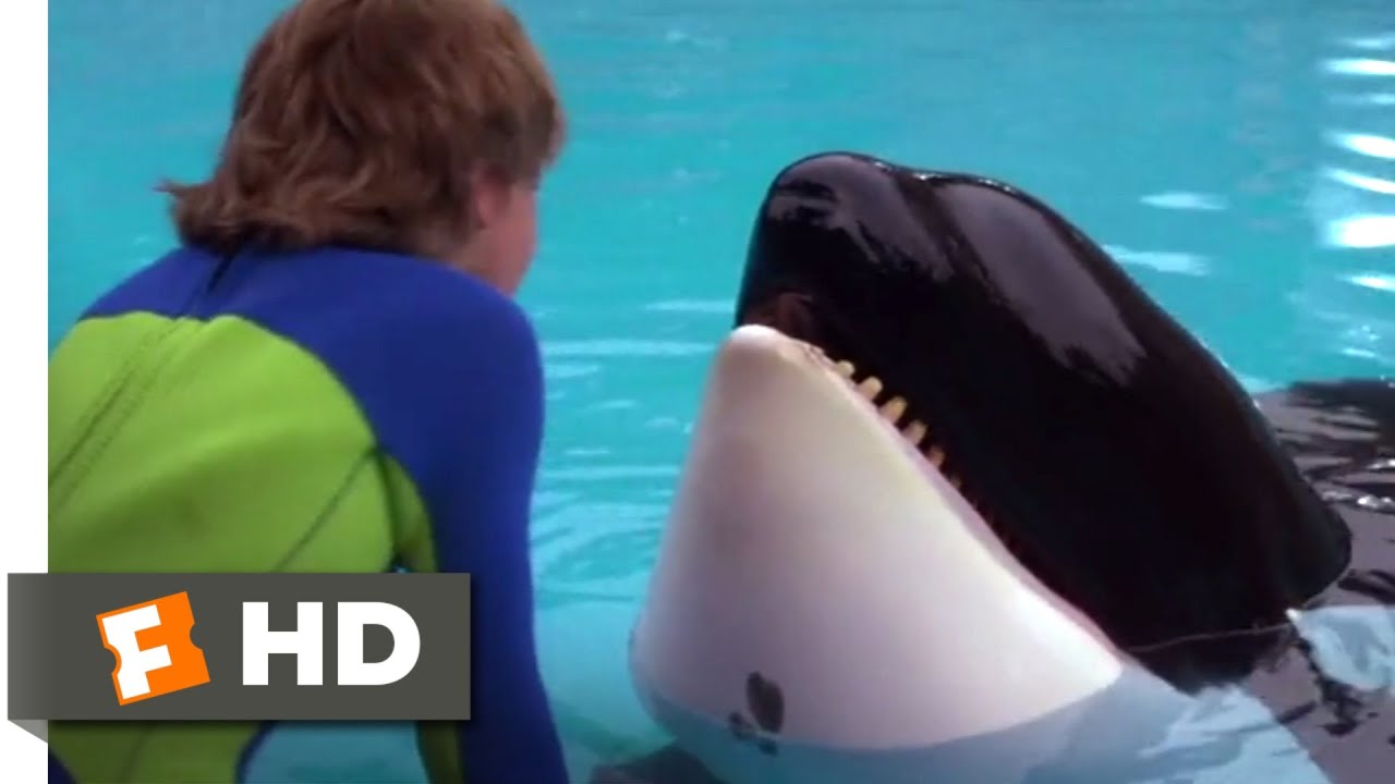 Free Willy (1993) – Batendo No Vidro (7/10)