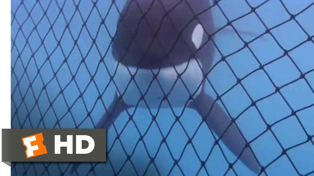 Free Willy (1993) – Quase Livre (9/10)