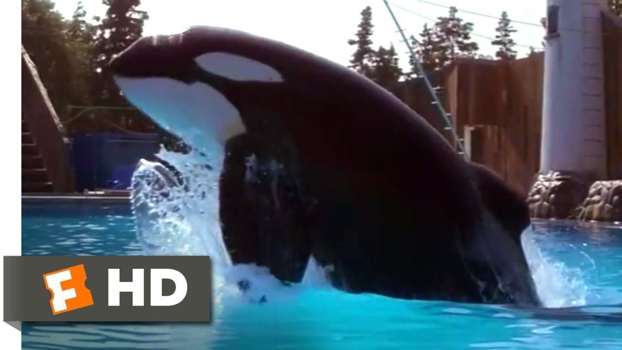 Free Willy (1993) – Um Caso Muito Especial (2/10)