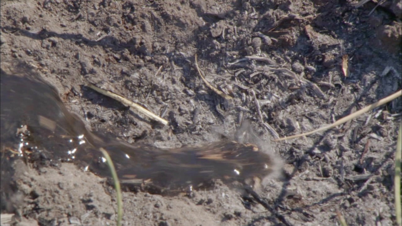 Planeta Terra 01 Do Polo Ao Polo – Parte 15