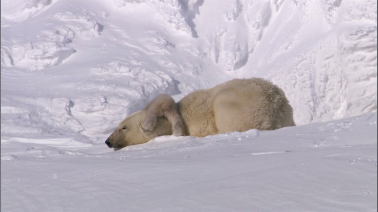 Planeta Terra 01 Do Polo Ao Polo – Parte 03