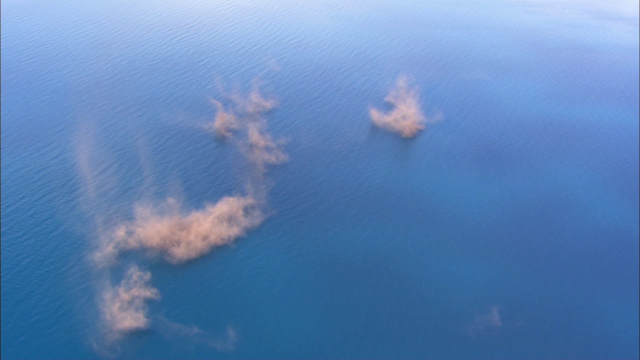 Planeta Terra 03 Água Doce – Parte 12