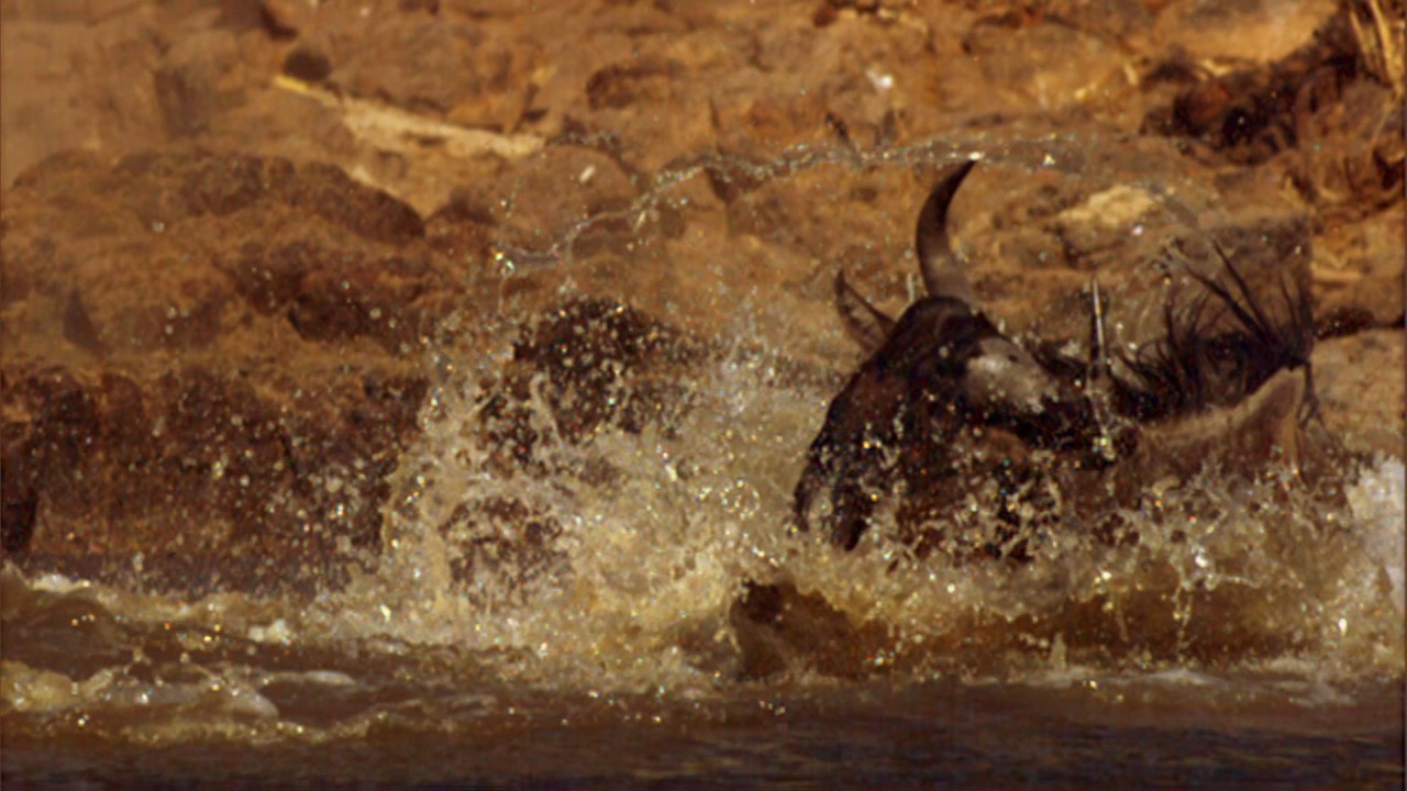 Planeta Terra 03 Água Doce – Parte 10