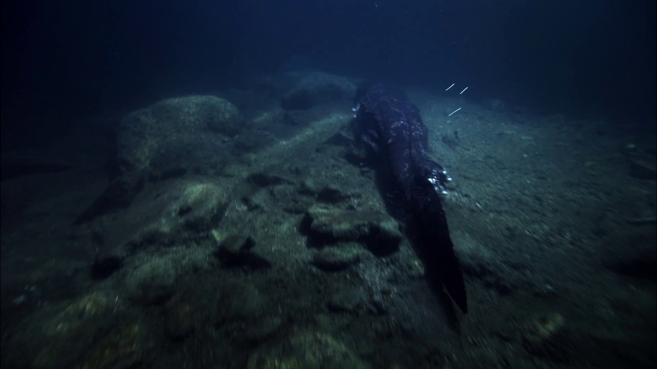 Planeta Terra 03 Água Doce – Parte 04