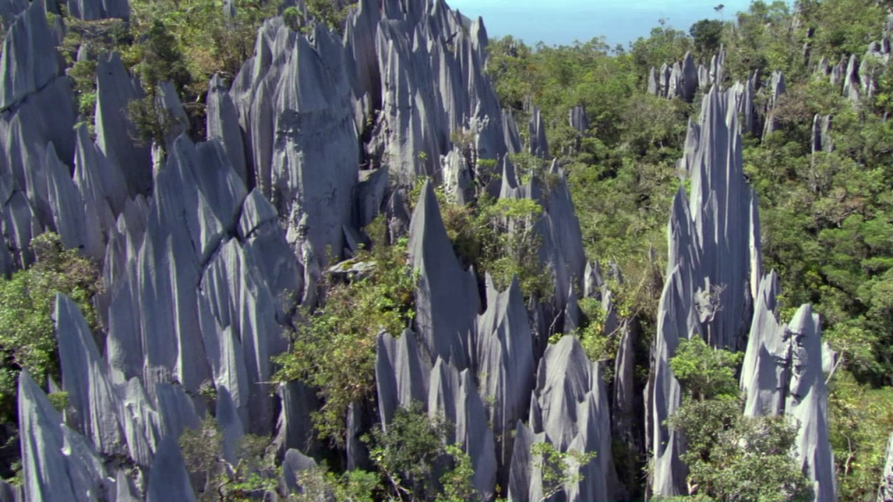 Planeta Terra 04 Cavernas – Parte 04