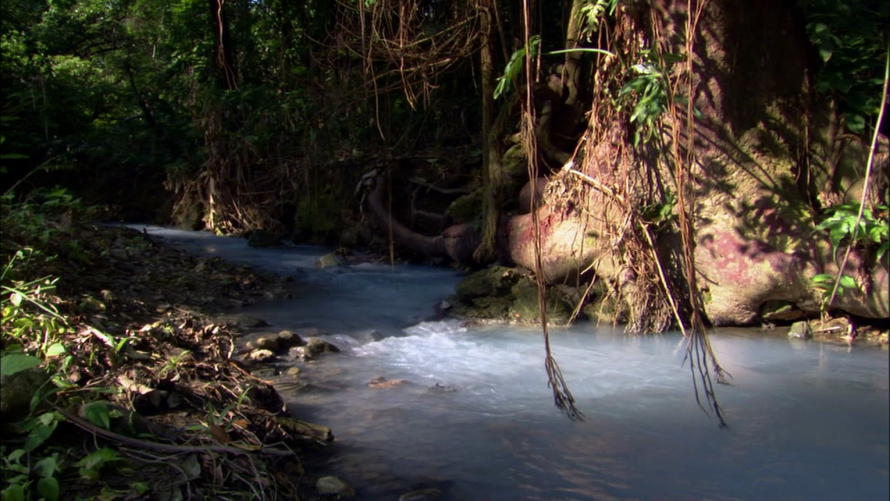 Planeta Terra 04 Cavernas – Parte 16