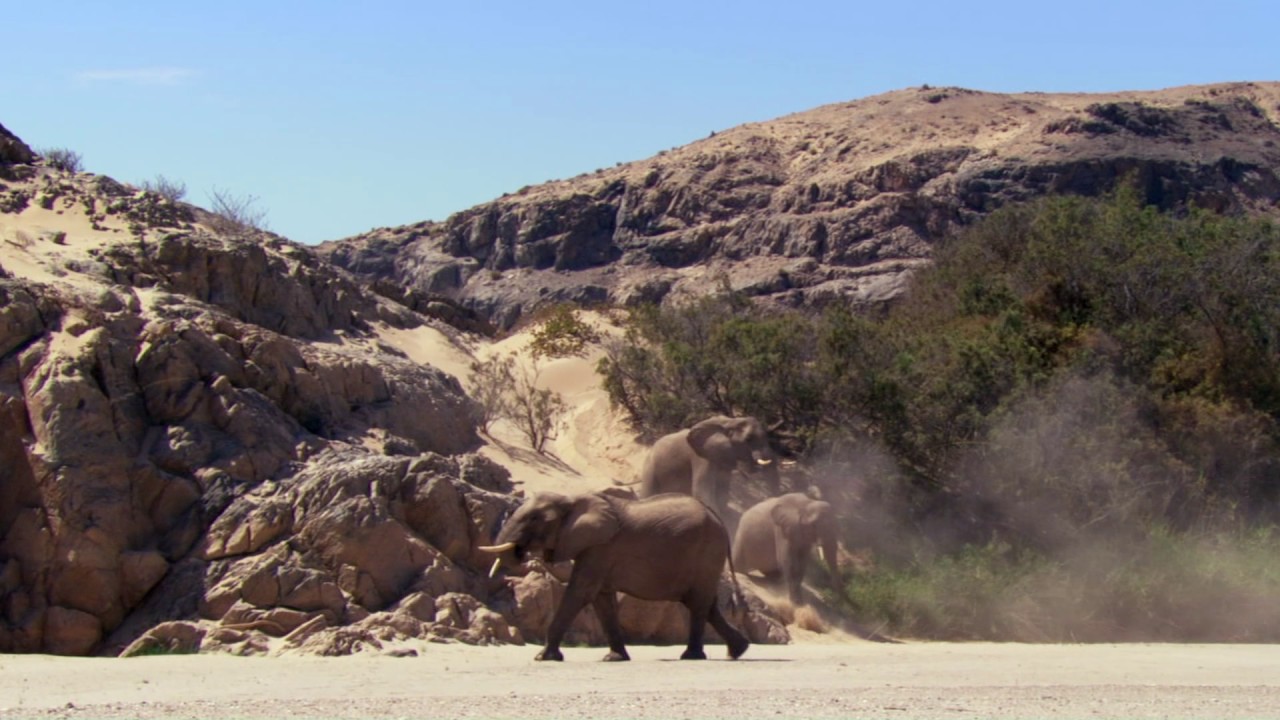 Planeta Terra 05 Desertos – Parte 15