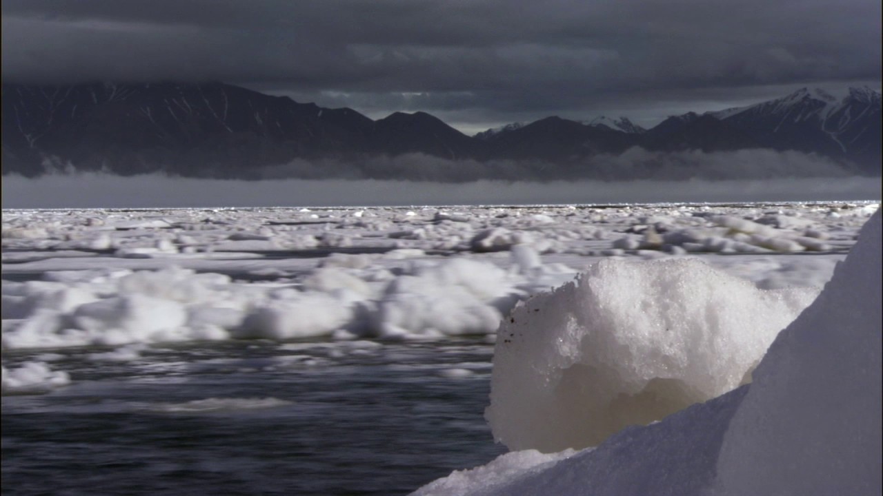 Planeta Terra 06 Mundos De Gelo – Parte 11