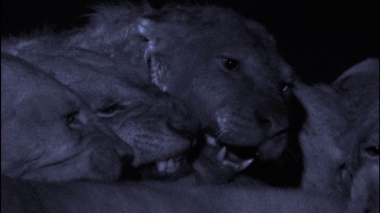 Planeta Terra 07 Grandes Planícies – Parte 18