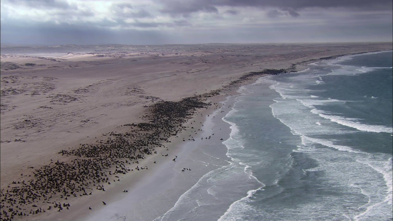 Planeta Terra 09 Mares Rasos – Parte 14