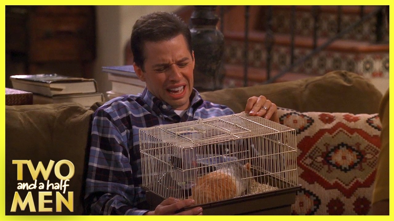 Alan Desmorona Com O Gerbil Morto De Jake | Dois Homens E Meio