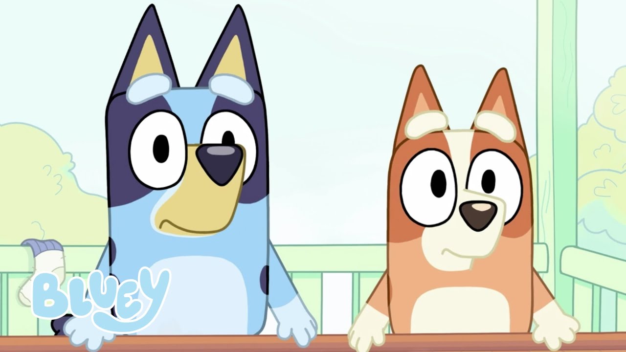 Apresentando Sharralanda E Dennis | Provocação | Bluey