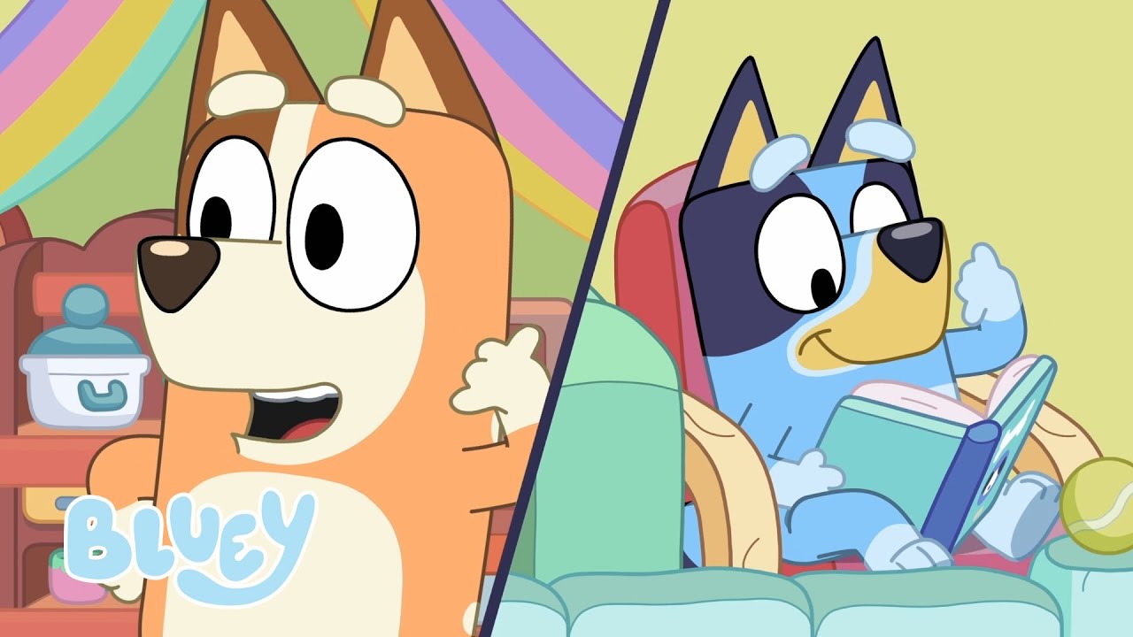 Clube Do Livro Da Bluey | Vizinhos – Série 1 | Bluey