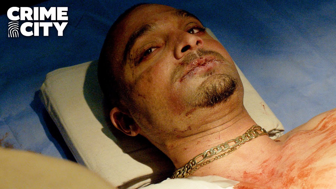 Veterinário Salva Nacho | Better Call Saul (Michael Mando)